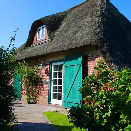 Dom wakacyjny Scheune Borgsum