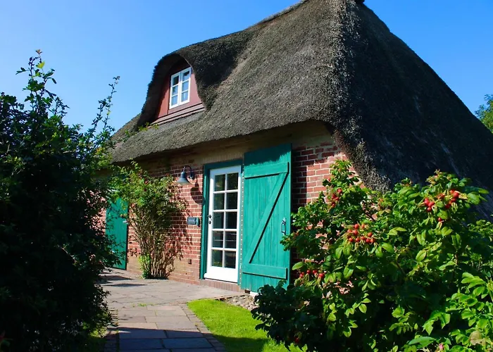 Casa vacanze Scheune Borgsum